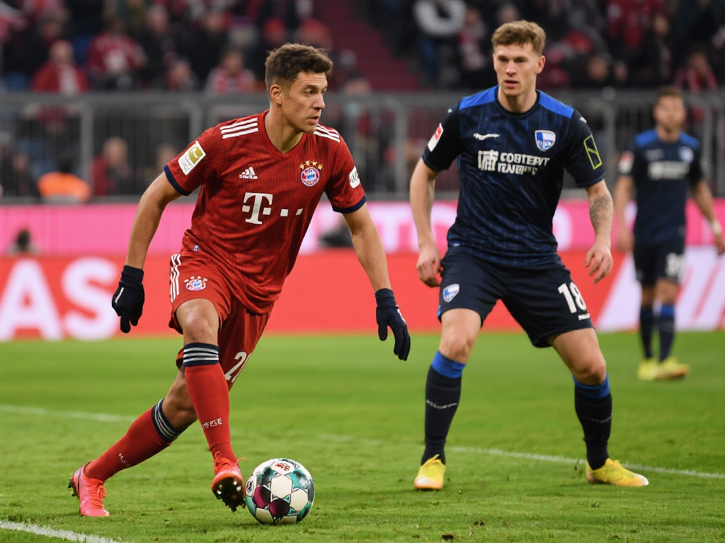 我曾遇到对 我曾遇到对