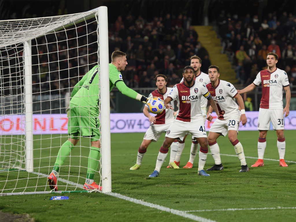 更新内容 更新内容